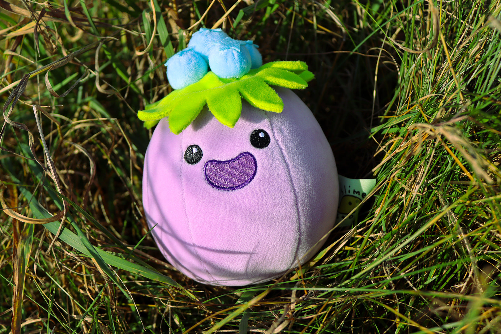 Hapberry Slime Plush