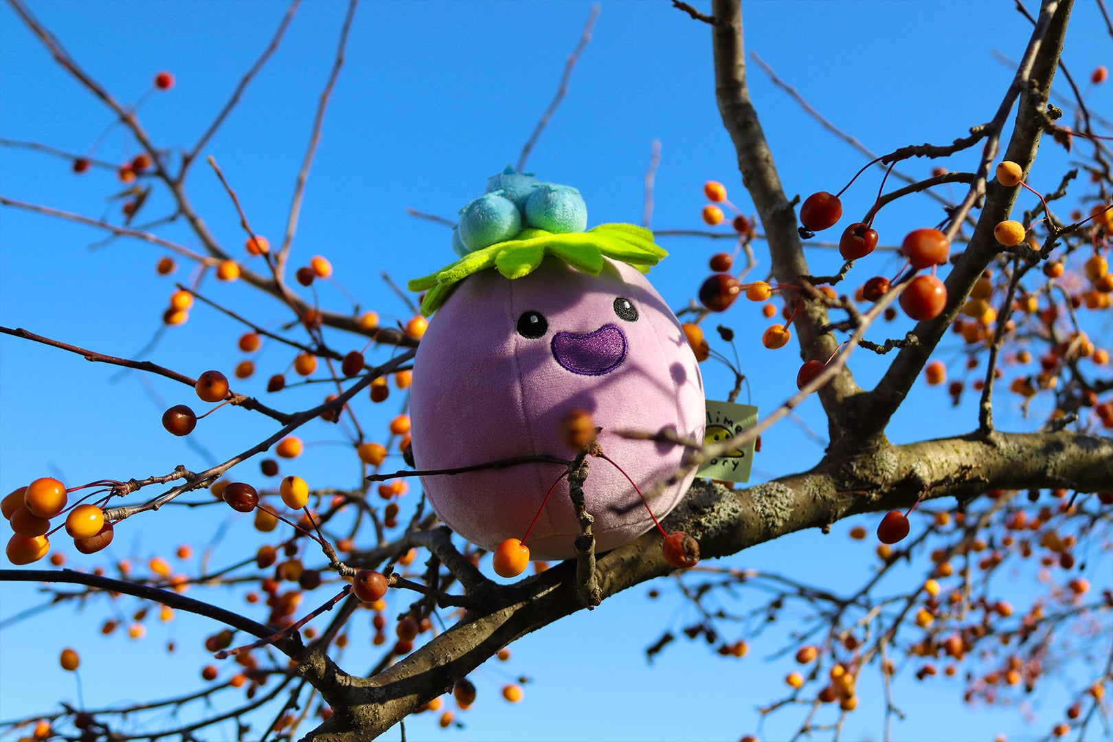 Hapberry Slime Plush