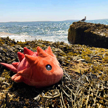 Horseshoe Crab Slime Plush